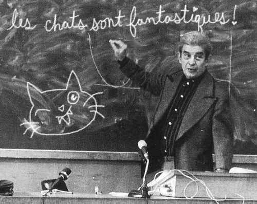 cats.jpg