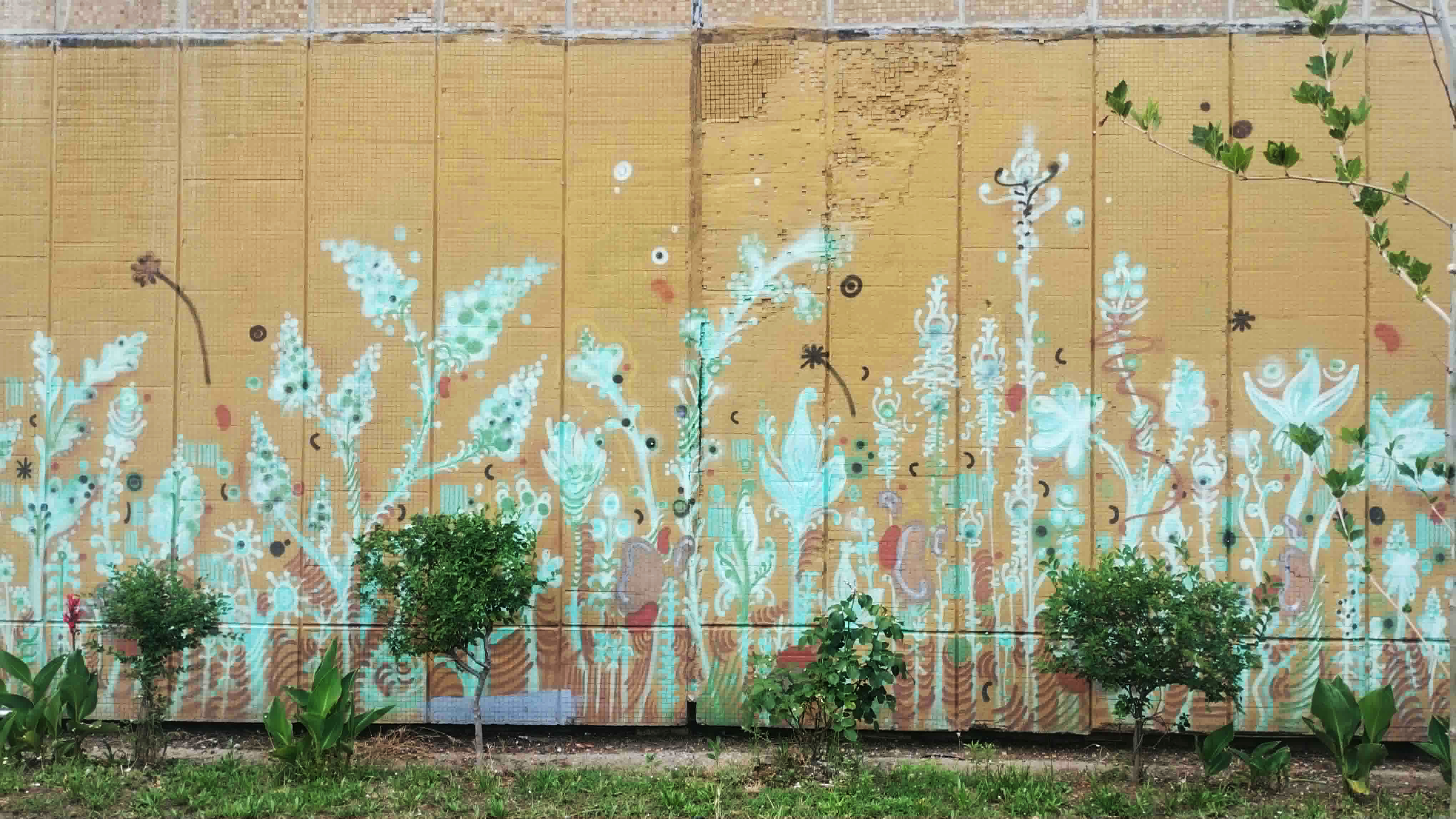 grafit1.jpg