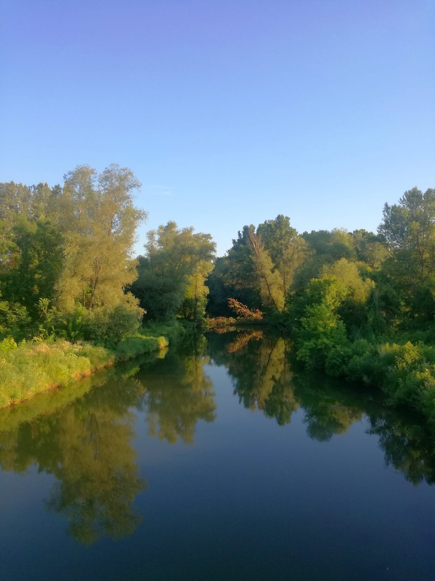 timok.jpg